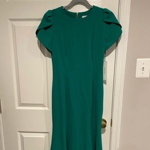 Gorgeous new Calvin Klein green dress with tulip sleeves size 4- maxi length